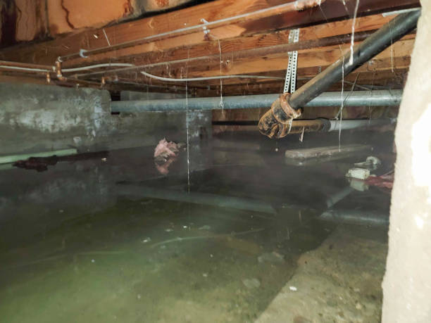 Best Water damage restoration near me  in Lafayette, GA