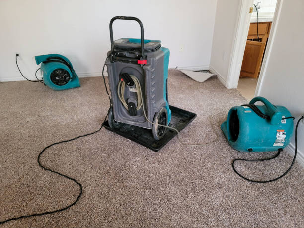 Best Flood restoration services  in Lafayette, GA