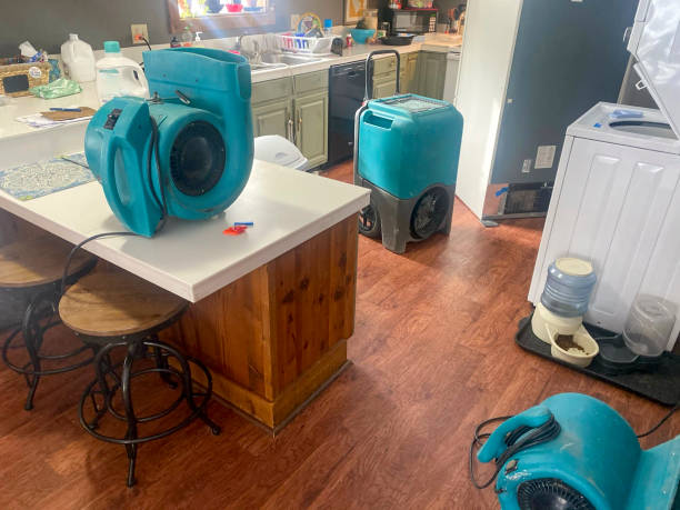  Lafayette, GA Water damage restoration Pros