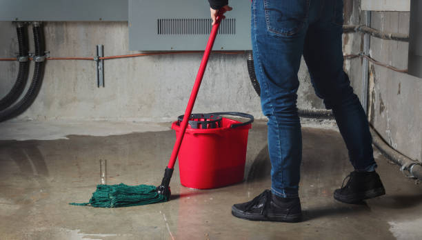 Best Residential water damage restoration  in Lafayette, GA