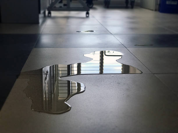 Best Professional water damage repair  in Lafayette, GA