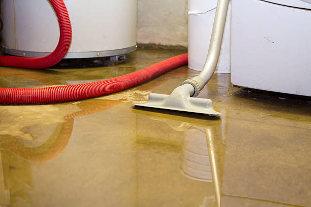 Best Water damage restoration process  in Lafayette, GA