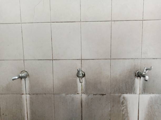 Best Mold removal after water damage  in Lafayette, GA