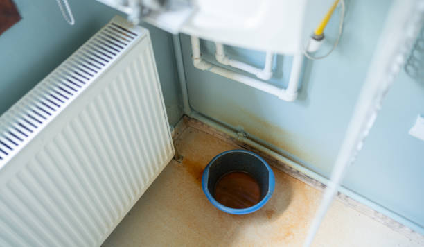 Best Basement water damage restoration  in Lafayette, GA