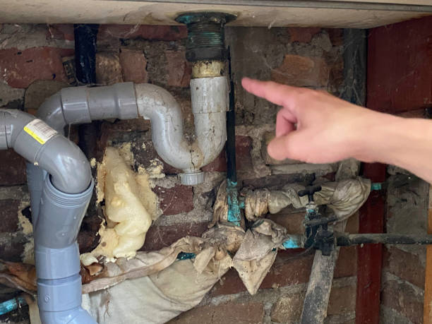 Best Water damage contractors near me  in Lafayette, GA